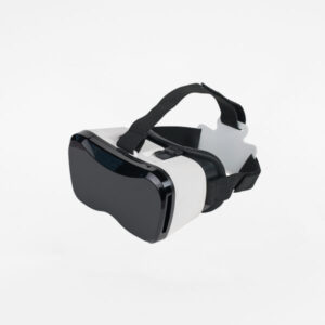 Case of the Miniature Goose